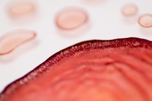 Close_up of blood cells