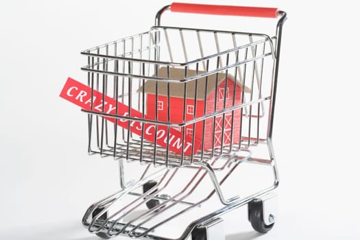 Close_up of a model home in a shopping cart