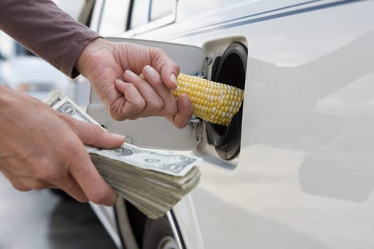 PersonŽs hand putting a corn cob into the gas tank of a car
