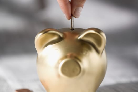 Close_up of a personŽs hand putting a coin into a piggy bank