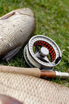 High angle view of a fishing reel and a fishing rod lying beside two fish