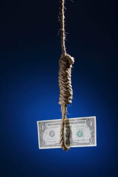 One US dollar bill in hangmanŽs noose