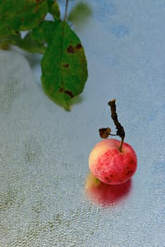 Apple on frost covered glass