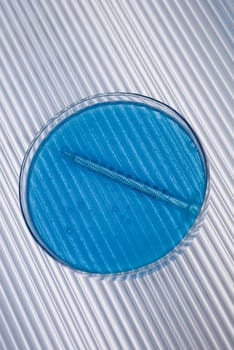 Close_up of a petri dish with a syringe