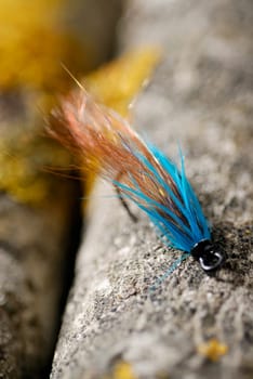 Close-up of a fishing lure