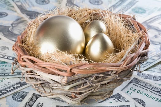 Close_up of golden eggs with paper currency in a birdŽs nest