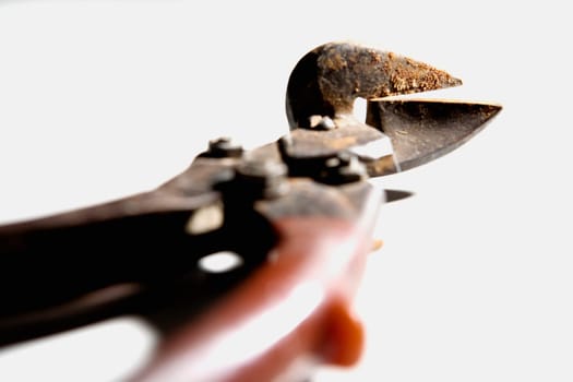 Close-up of a pruning shears