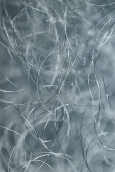 Close-up of metal wires