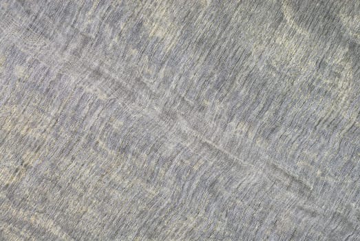 Close-up of a fabric