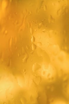 Close-up of water drops on a surface