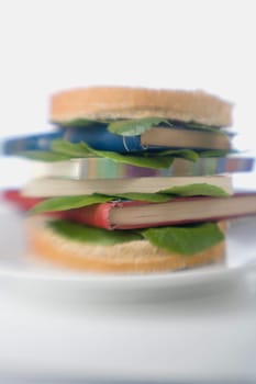 Close-up of note pads between a sandwich on a plate