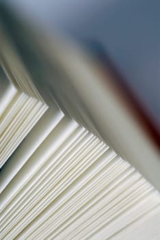 Close-up of diary pages