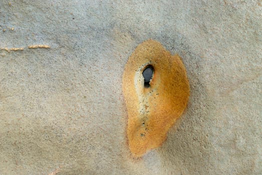 Close_up of rock surface