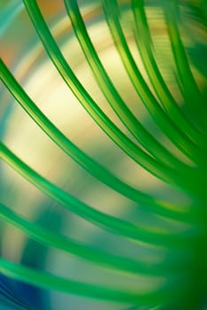 Close-up of spiral binding