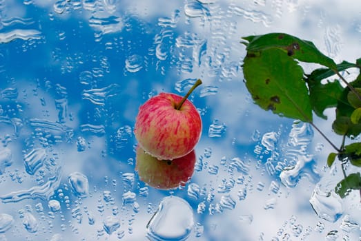 Apple and water droplets on glass