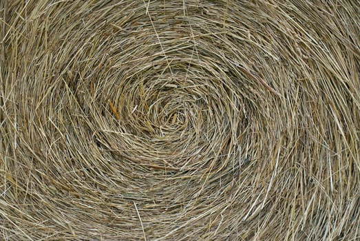 Close_up of a hay bale