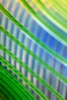 Close-up of spiral binding