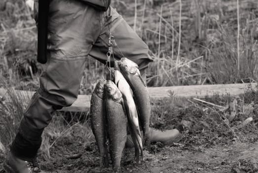 Low section view of a man holding fish