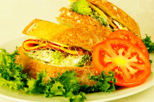 Close-up of tomato slices with sandwiches on a plate