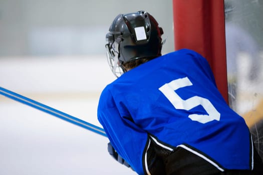 Rear view of an ice hockey player playing ice hockey