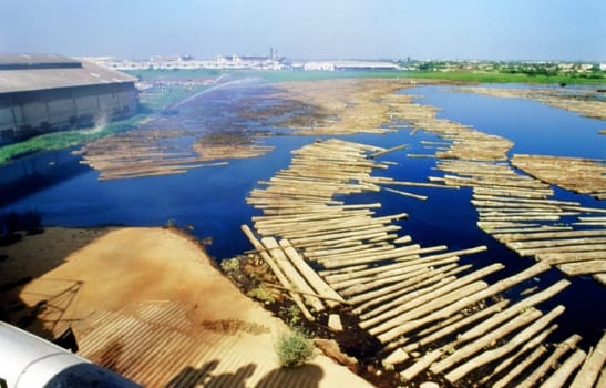 High angle view of wooden logs floating on water