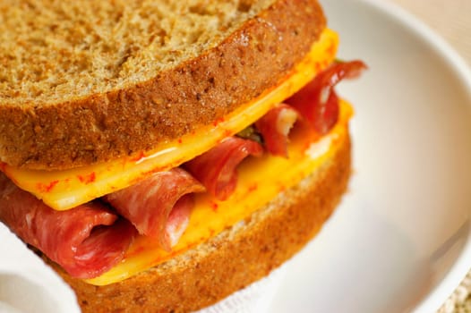 Close-up of a roast beef and cheese sandwich on a plate