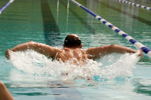 High angle view of a mid adult man swimming the butterfly stroke