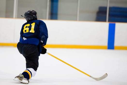 Rear view of an ice hockey player playing ice hockey