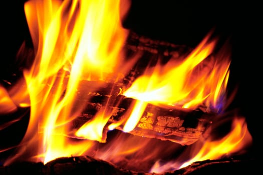 Close-up of a log fire