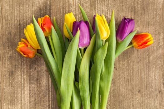 Bouquet of colorful tulips on wooden background