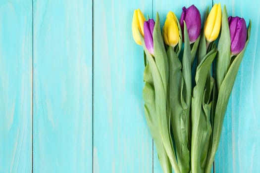 Bouquet of colorful tulips on a blue wooden background. Copy-space.
