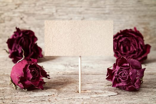 Old roses buds and blank sign for copy-space