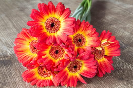 Colorful gerbera flowers on the wooden table