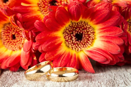 Wedding rings with beautiful gerberas on background