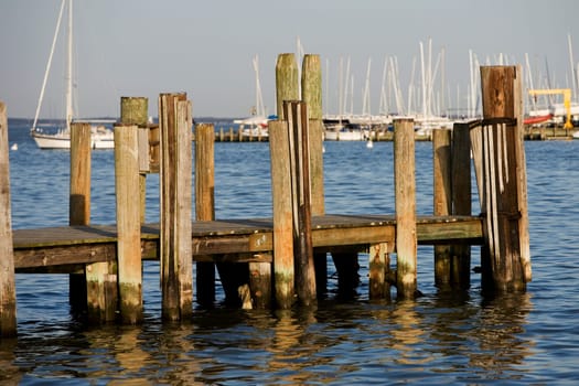 Wooden posts at a pier, Annapolis, Maryland, USA