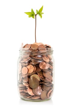Savings money jar full of coins, isolated on white background. Investment and retirement  concept