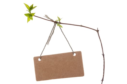 Spring branch with blank tag tied with string. Isolated on white background.