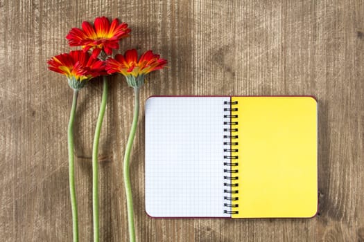 Blank notebook and three gerberas on the wooden table