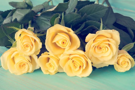 Beautiful yellow roses  with pastel color filters abstract