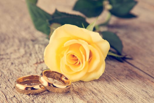 Wedding rings with yellow rose on background