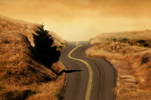 Road passing through a landscape