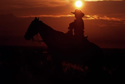 Silhouette of a person riding horseback at sunset