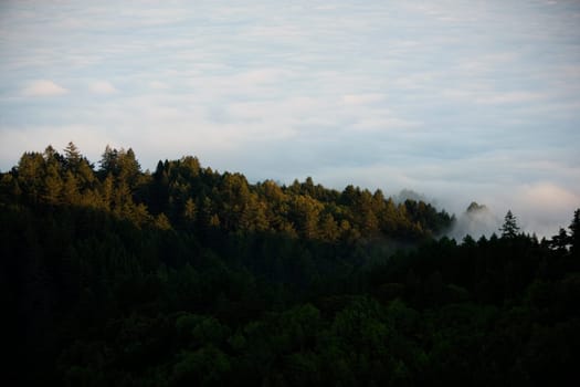 High angle view of a hill surrounded by clouds