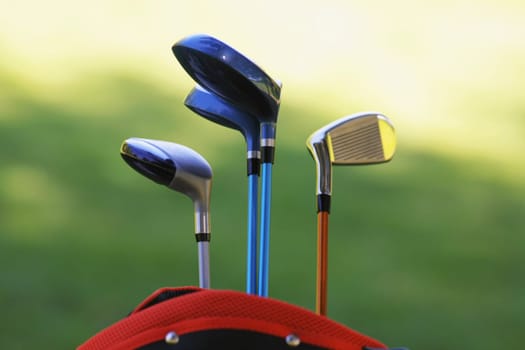 Close-up of golf clubs in a golf bag