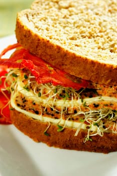 Close-up of a sandwich