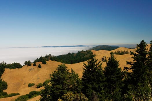 High angle view of a cloudscape