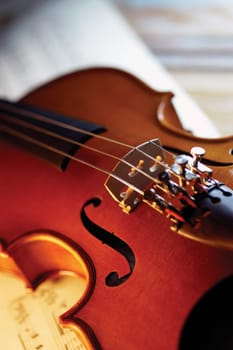 Extreme close-up of violin bridge