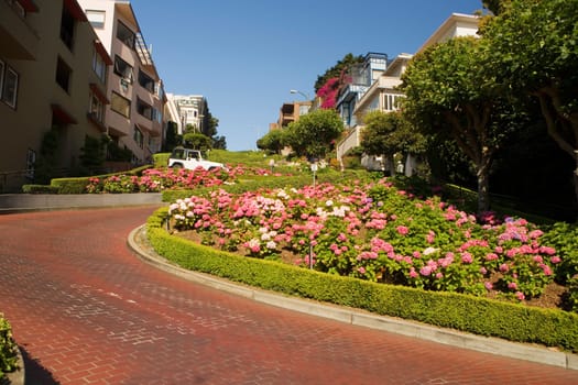 Low angle view of Lombard Street, San Francisco, California, USA