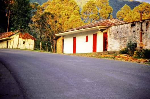 Houses along a road