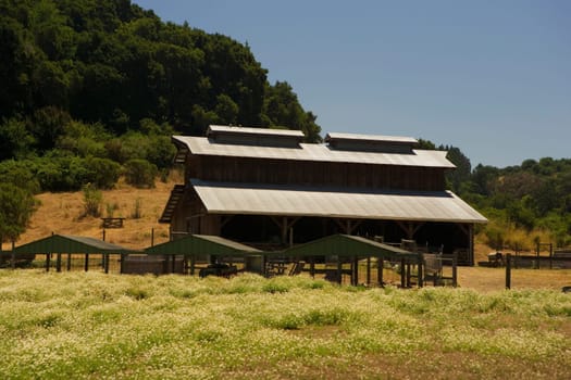 Farmhouse in a field